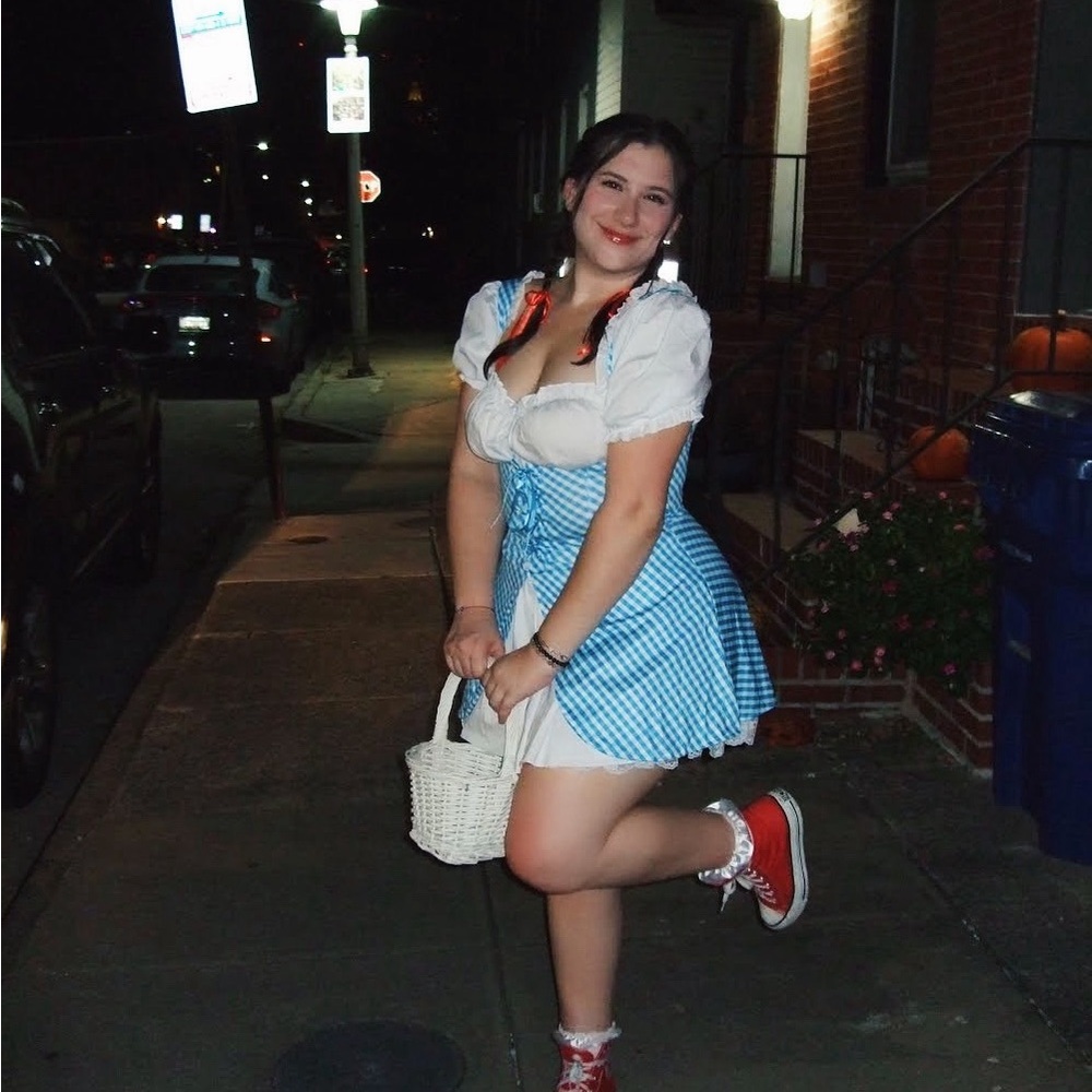 Leg Avenue, gingham dress with split, Dorothy costume